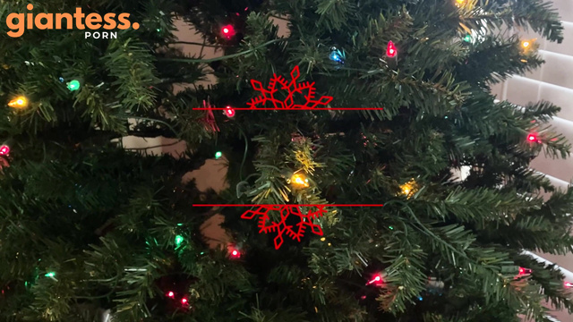 Worldunseenfilms – The Christmas Gift