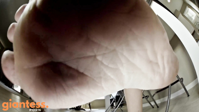 Giantess Katelyn Brooks – The Eviction Starring