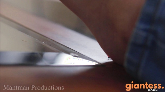 Mant Man Productions – Prison Break FX