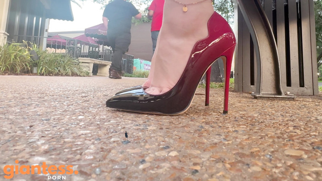 Scarlet Shrinking