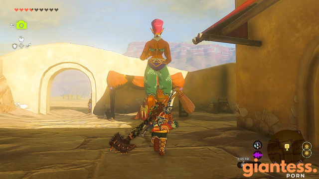 Zelda Amateur