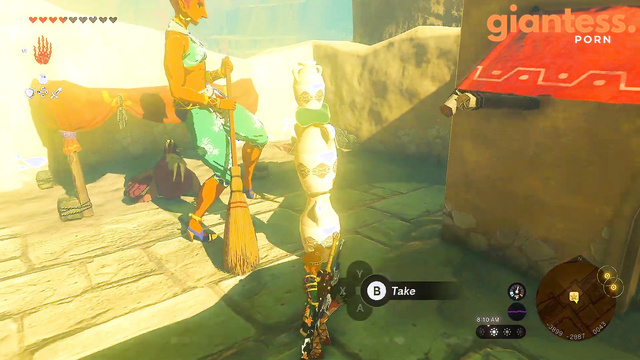 Zelda Amateur