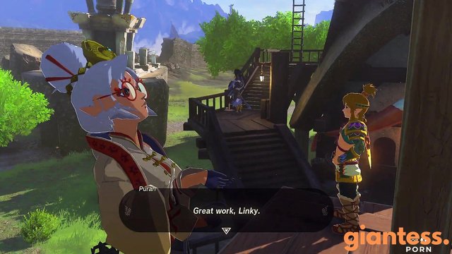 Zelda Amateur