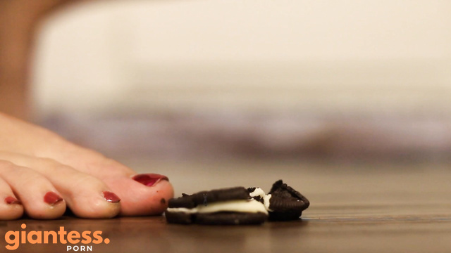 World Unseen Films - Autumn's Cookie Thieves