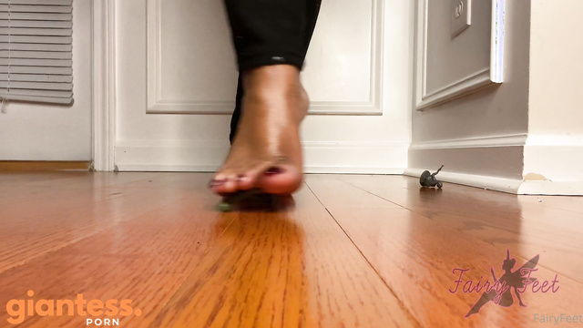Fairy Feet – Giantess Soldier Crush