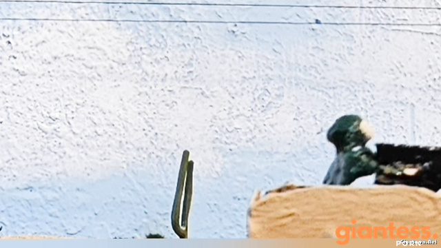 Strength GTS Dioramas - Angry Ebony Giantess And The Epic Battle Round 2