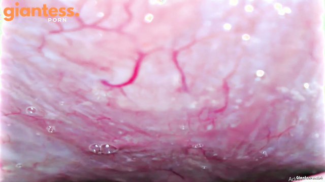 Adulting X - Mouth Full Of Saliva: All The Way Down In My Hungry Stomach