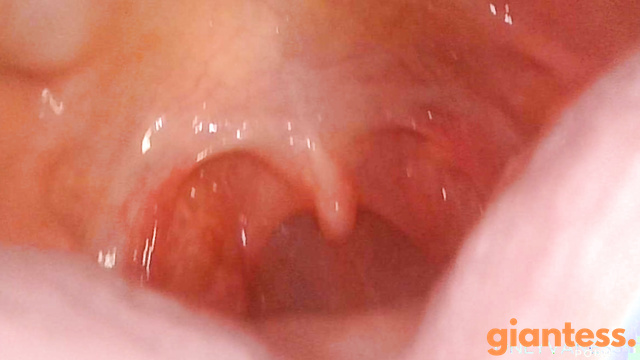 OnlyVanessa - Swallowed Like Tiny Breadcrumbs: Inside The Giantess Mouth