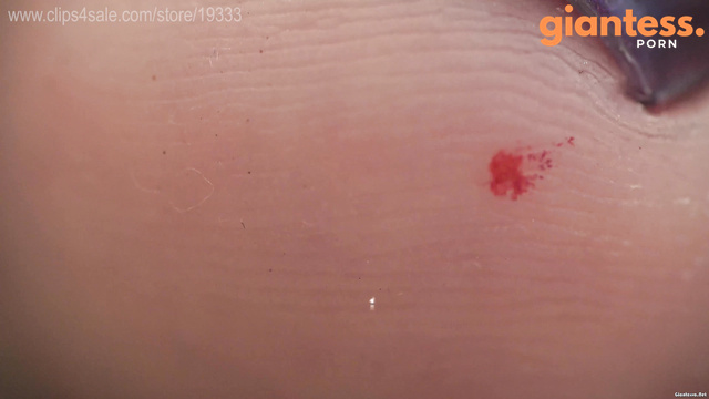 GSFCreator - Perfect Goddess Feet: Micro Man Wants To Suck Her Smelly Toes