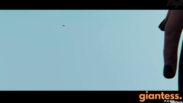 EleGTS - The Micro Helicopter Protocol: Giga Goddess In The Country