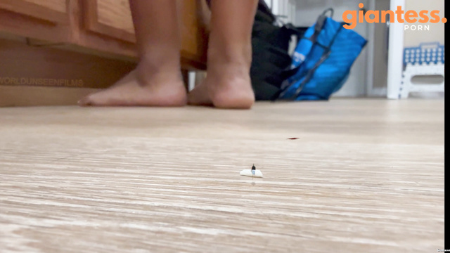 WorldUnseenFilms - Barefoot Hell In The Kitchen: Micro Men Scrambling To Stay Alive