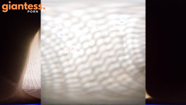 Lizzy Lamb Crush