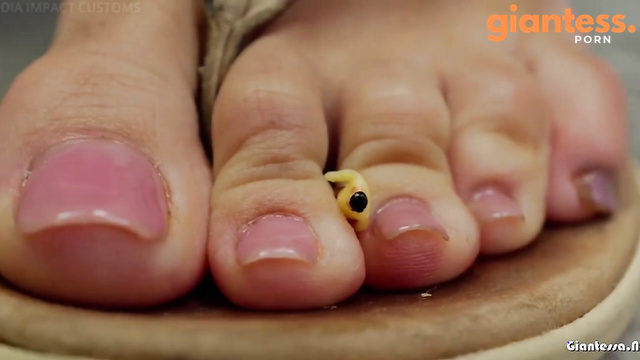Media Impact Customs - Latina Giantess Enchantress Sahrye Worships Her Personal Toe Slave