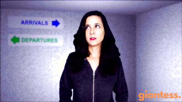 Airport Catastrophe HD
