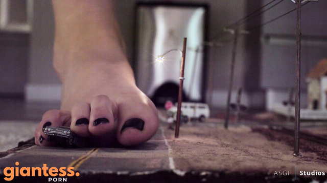 ASGF Studios - Lazy Nights