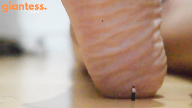 Tinyhybrid – Tiny Tenants Starring