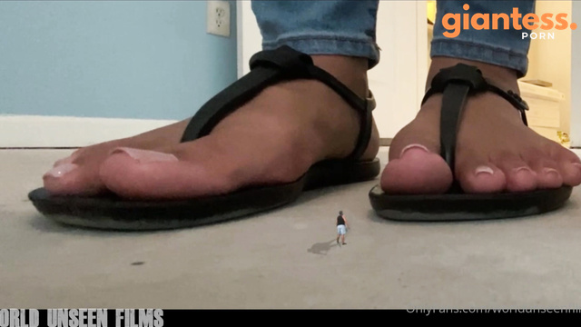  Shrinking
