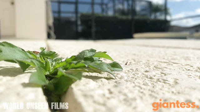 Worldunseenfilms – Here Is Some Unused Footage
