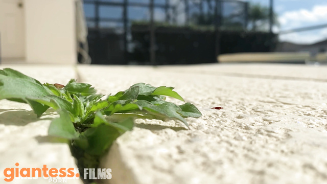 Worldunseenfilms – Here Is Some Unused Footage