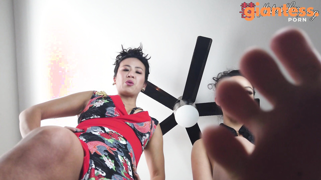 Lucy Khan - Asian Supremacy POV: Downsized IV