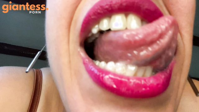 Emprexkala - Tiny Hides In Her Panties