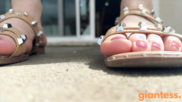 Worldunseenfilms – Poolside