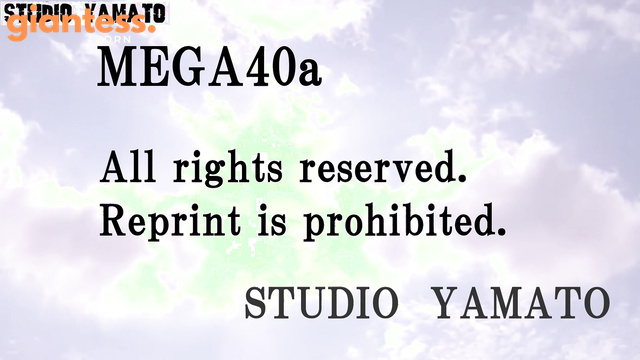 Studio Yamato - Mega 40A