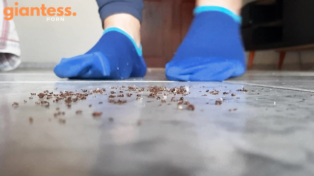 Giantess Hajar - Ants Crush By Hajar
