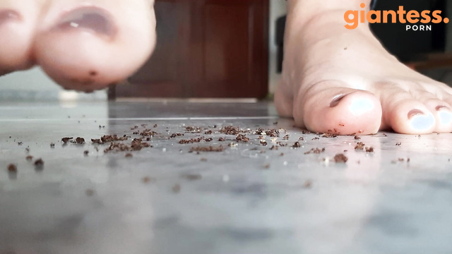 Giantess Hajar - Ants Crush By Hajar