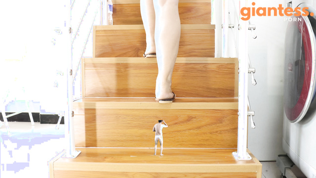 Anna goddess Fantasy Wonderland - Gaoyu imprisons two dwarves giantess