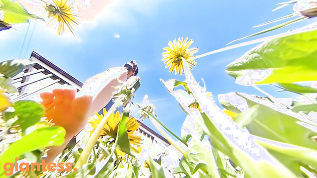 Canadian and Asian Giantess Fantasy - Unaware In A Dandelion Jungle Extreme POV
