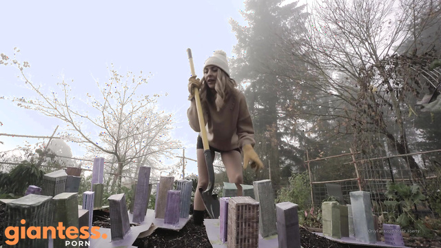 Stella Liberty - Amazon Decimates Cities