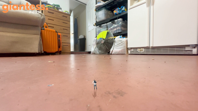 Giantess Requests - The Goddess Trying Ignores Tiny Man