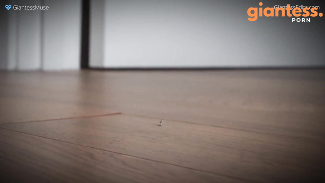 Giantess Muse - The Giantess Unaware of Her Steps