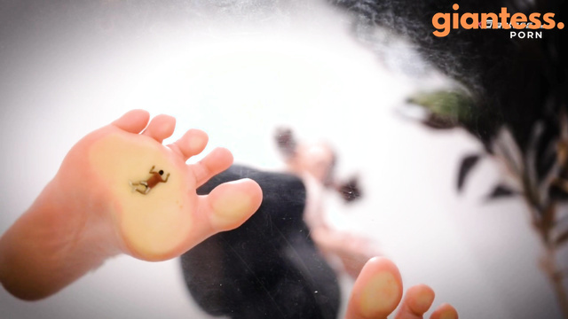 XGiantess - Gentle Giantess Cares About Horny Shrunken Stepbrother