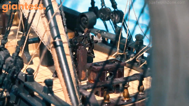Media Impact Customs - Pirates of the BackYardians