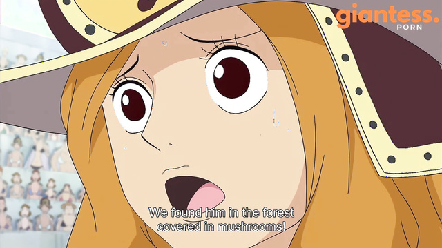 GTS HUG - Giant Aphelandra Scenes from One Piece