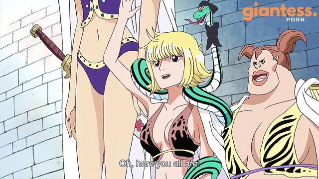 GTS HUG - Giant Aphelandra Scenes from One Piece