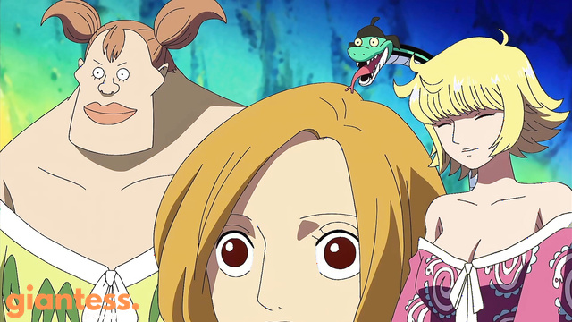 GTS HUG - Giant Aphelandra Scenes from One Piece