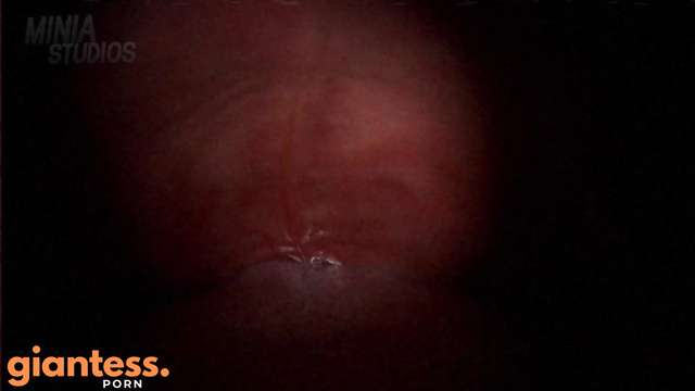 Minia Studios - Giantess Eat You POV Camcorder