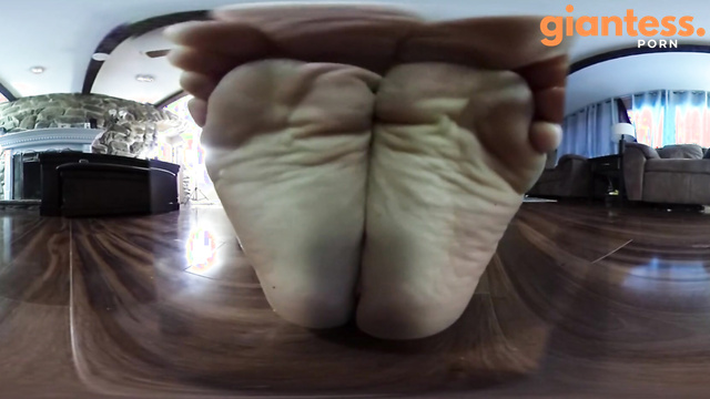 Fetishlands Beanstalk - Giantess Shows Your New Home in a Box