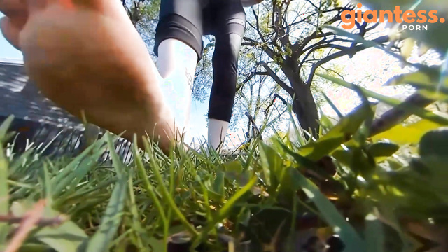 Canadian Giantess - Chased by the Rebel, Ground Trembling with Each Giantess Step