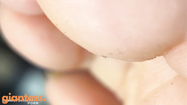 Jamie Feet - After Removing My Socks, You May Gently Admire Giantess Feet