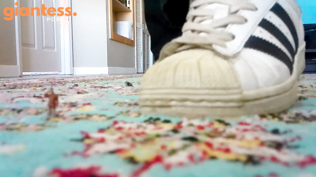 GoddessMayHere - Giantess Shows Off Her New Sneakers Right in Front Of Your Face