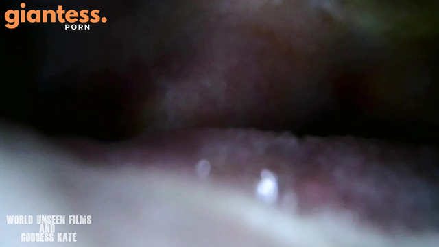 WorldUnseenFilms - Tiny Screams, Silent End: Inhaled by An Unaware Goddess