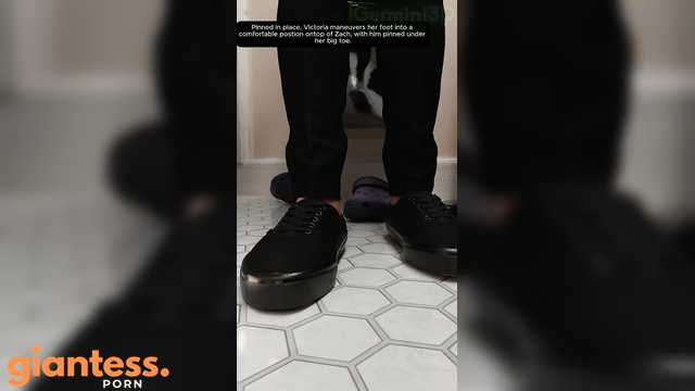 Zach’s Unfortunate Demise on Another Day of Changing Shoes