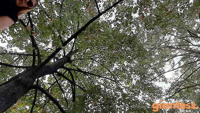 Goddess Tessa - Follow Me My Little Socks Fetishist To The Tiny Park