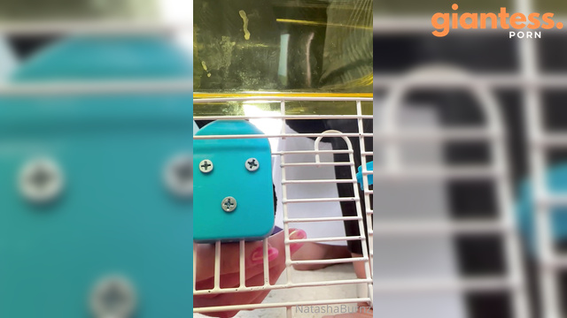 Goddess Tasha and Her Perfectly Behaved Little Pet In Cage