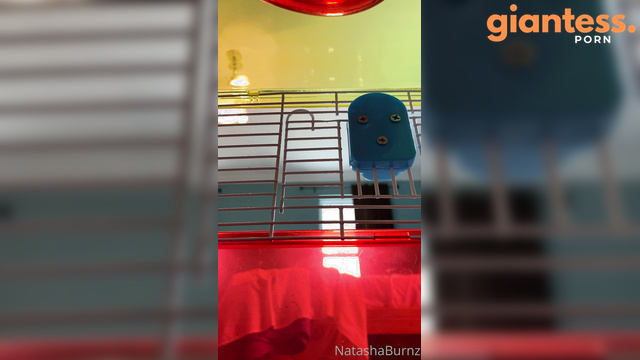 Goddess Tall Tasha Say Hi to New Trapped Toy in Hamster Cage