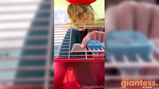 Goddess Tall Tasha Say Hi to New Trapped Toy in Hamster Cage
